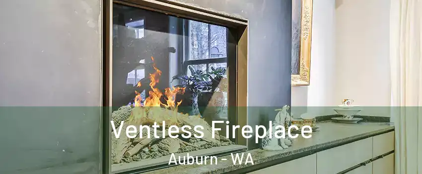  Ventless Fireplace Auburn - WA